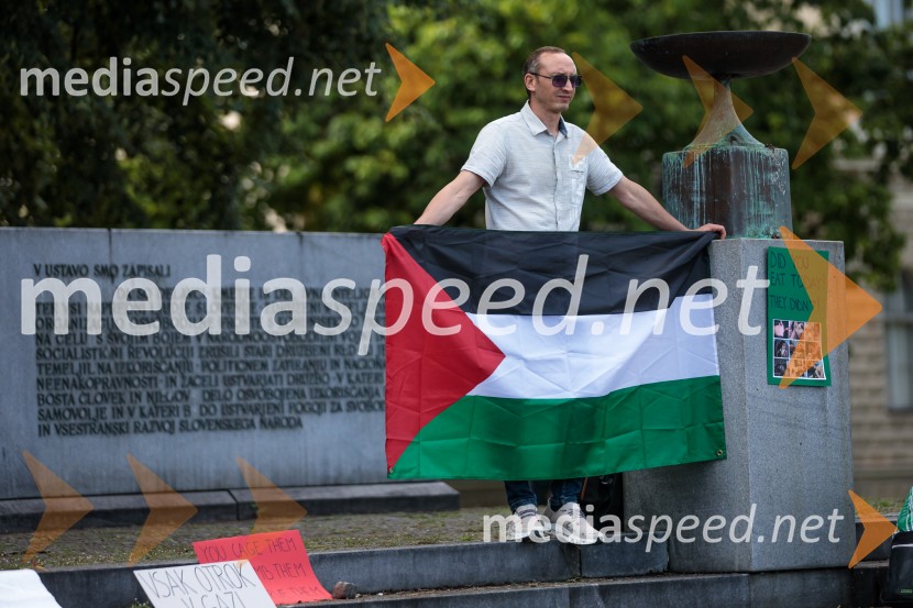 Protest civilne družbe Gaza strada, kaj dela vlada!?