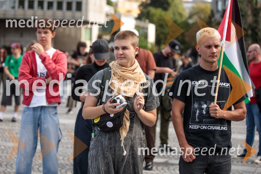 Protest civilne družbe Gaza strada, kaj dela vlada!?