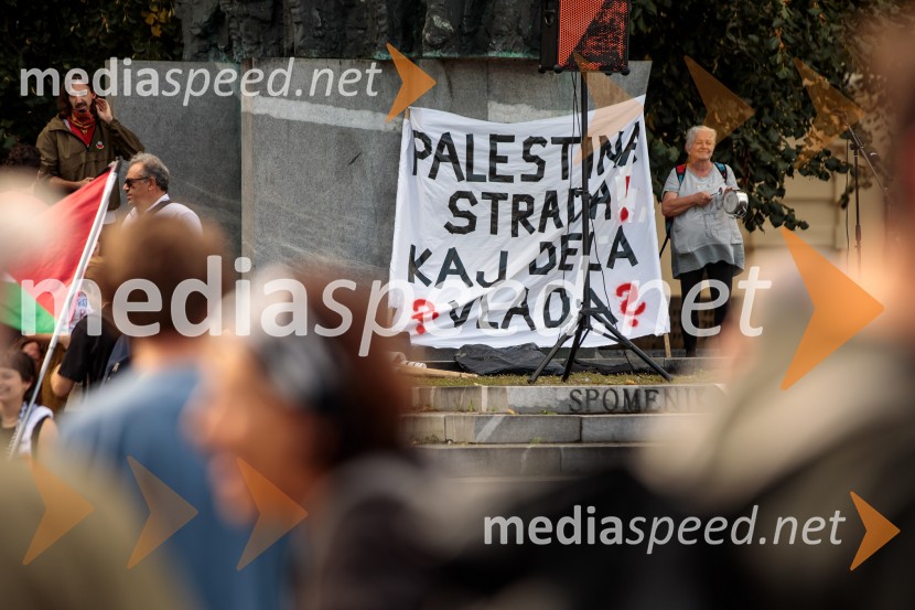 Protest civilne družbe Gaza strada, kaj dela vlada!?