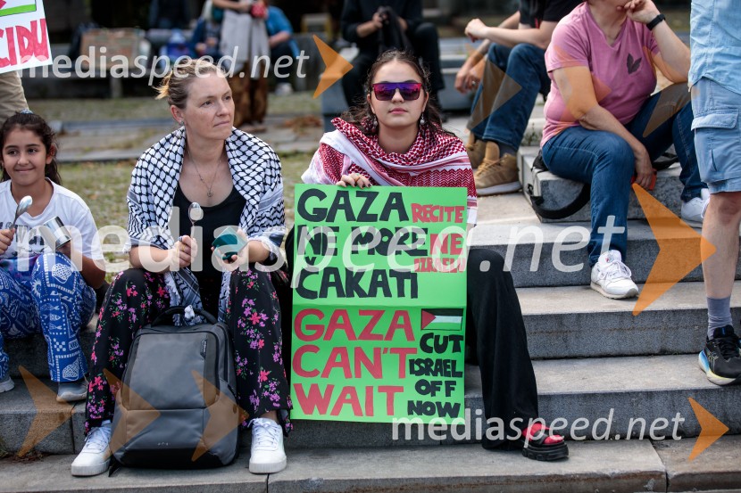 Protest civilne družbe Gaza strada, kaj dela vlada!?