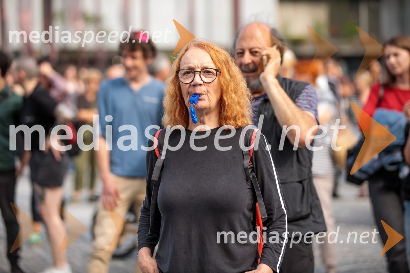 Protest civilne družbe Gaza strada, kaj dela vlada!?
