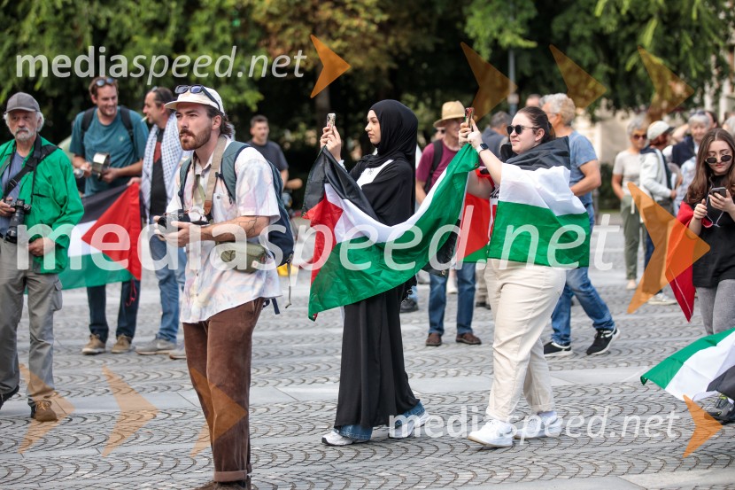 Protest civilne družbe Gaza strada, kaj dela vlada!?