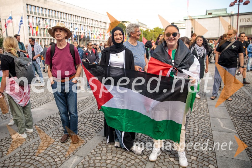 Protest civilne družbe Gaza strada, kaj dela vlada!?