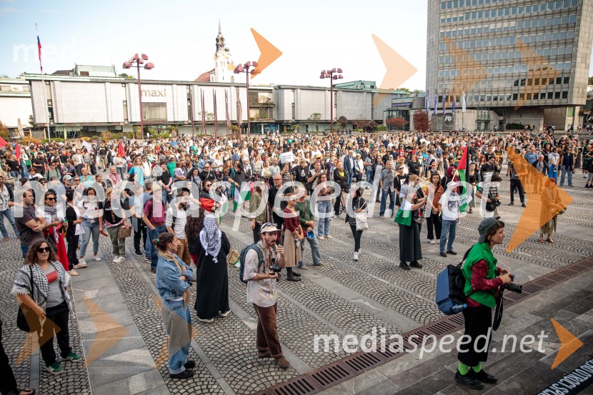 Protest civilne družbe Gaza strada, kaj dela vlada!?