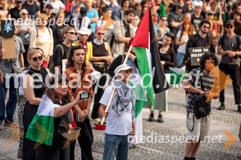Protest civilne družbe Gaza strada, kaj dela vlada!?