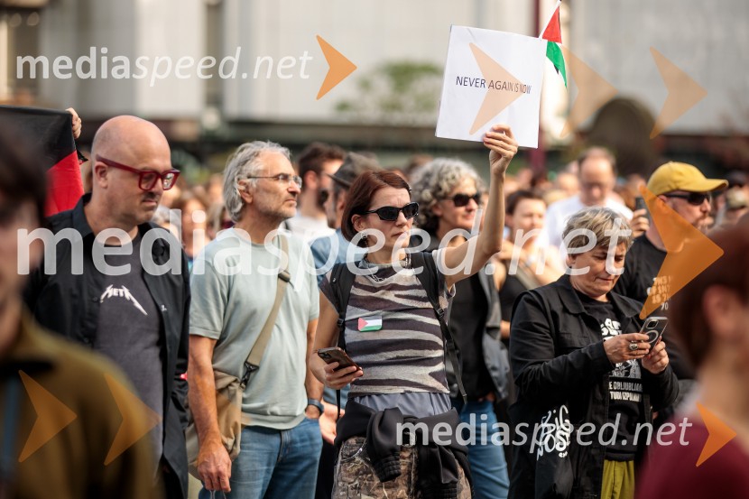 Protest civilne družbe Gaza strada, kaj dela vlada!?