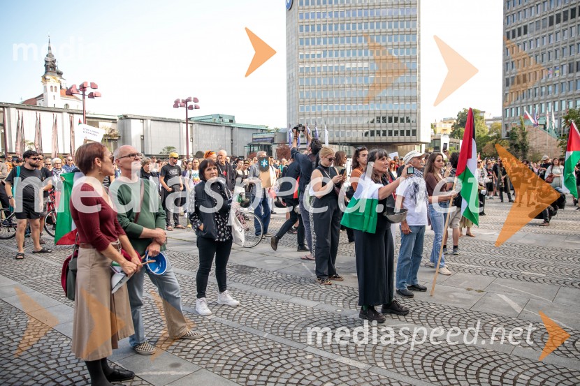 Protest civilne družbe Gaza strada, kaj dela vlada!?