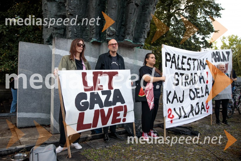 Protest civilne družbe Gaza strada, kaj dela vlada!?