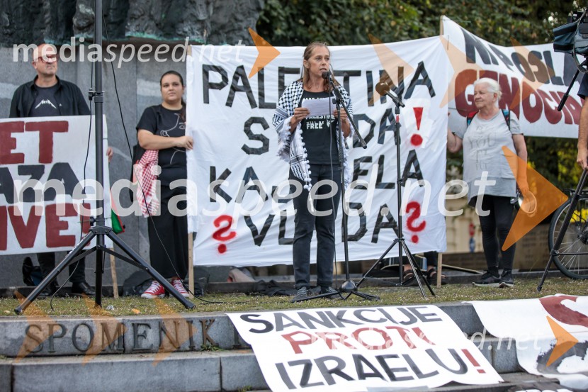 Protest civilne družbe Gaza strada, kaj dela vlada!?