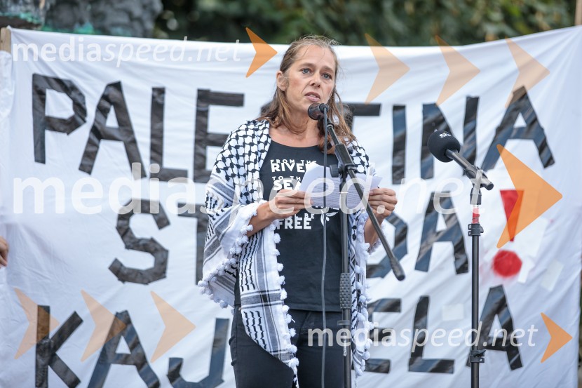 Protest civilne družbe Gaza strada, kaj dela vlada!?