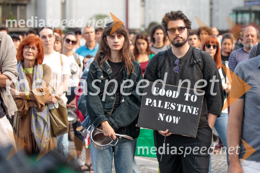 Protest civilne družbe Gaza strada, kaj dela vlada!?