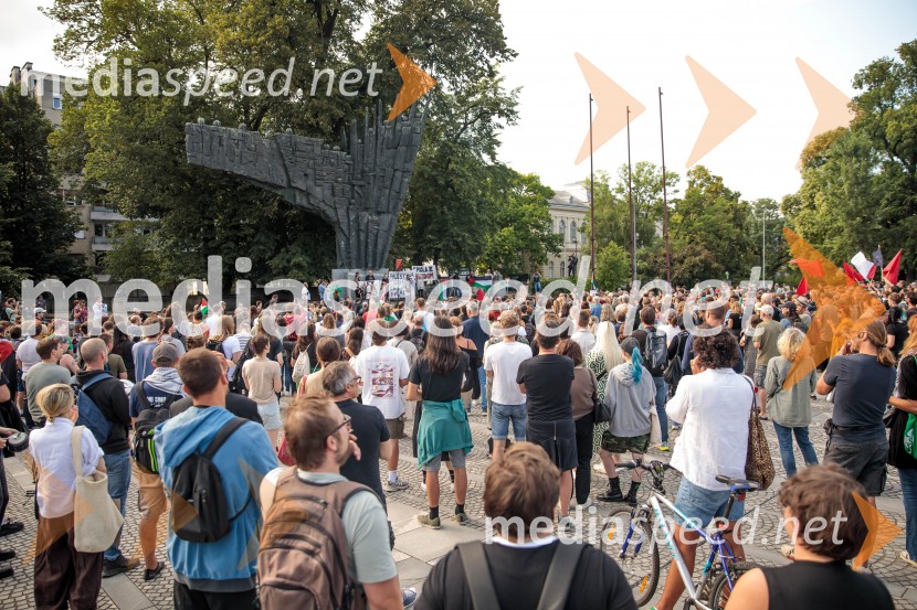 Protest civilne družbe Gaza strada, kaj dela vlada!?
