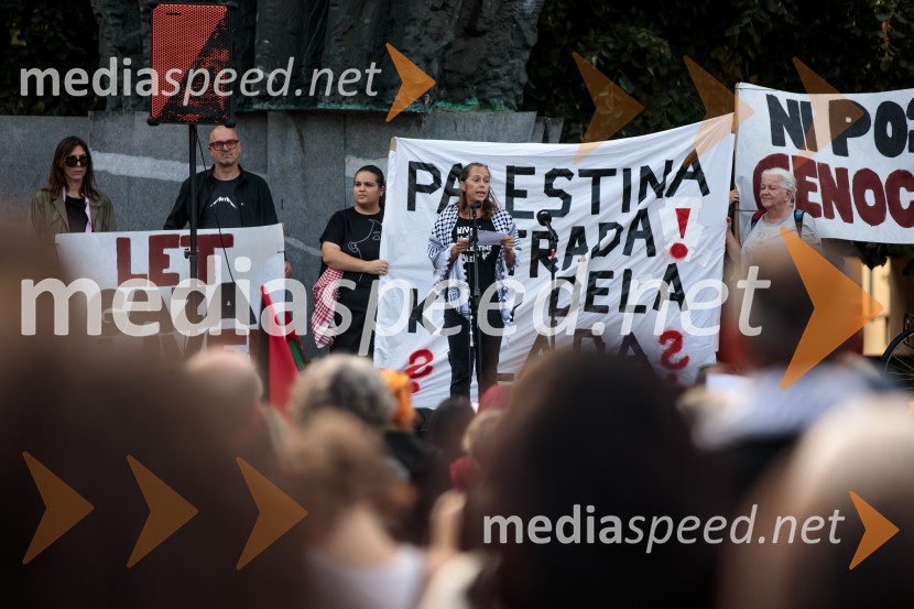 Protest civilne družbe Gaza strada, kaj dela vlada!?