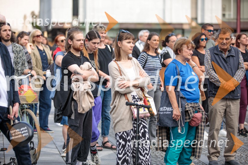 Protest civilne družbe Gaza strada, kaj dela vlada!?