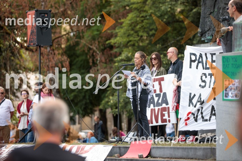 Protest civilne družbe Gaza strada, kaj dela vlada!?