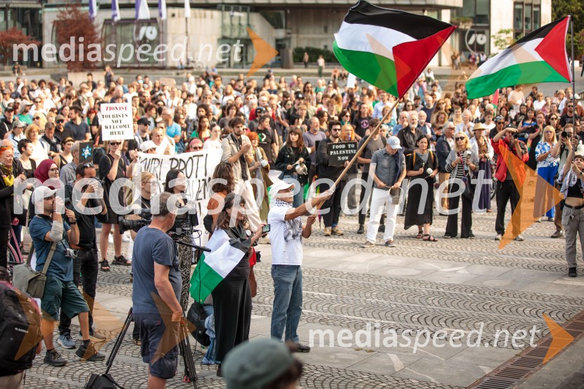 Protest civilne družbe Gaza strada, kaj dela vlada!?