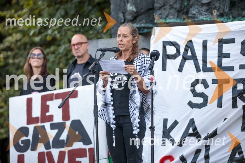 Protest civilne družbe Gaza strada, kaj dela vlada!?