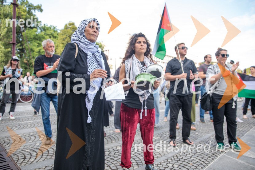 Protest civilne družbe Gaza strada, kaj dela vlada!?
