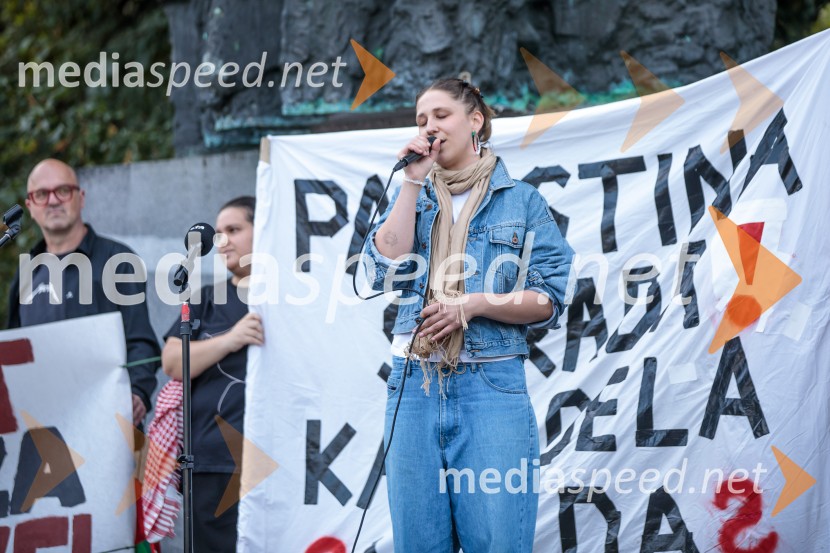 Protest civilne družbe Gaza strada, kaj dela vlada!?