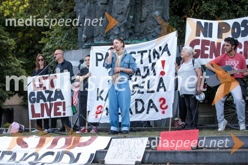 Protest civilne družbe Gaza strada, kaj dela vlada!?
