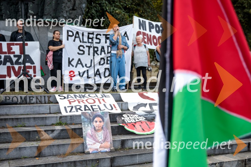Protest civilne družbe Gaza strada, kaj dela vlada!?