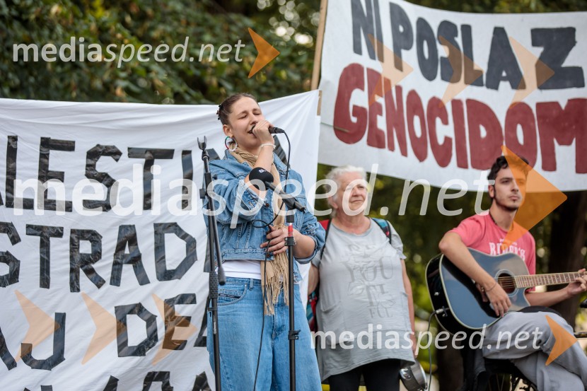 Protest civilne družbe Gaza strada, kaj dela vlada!?