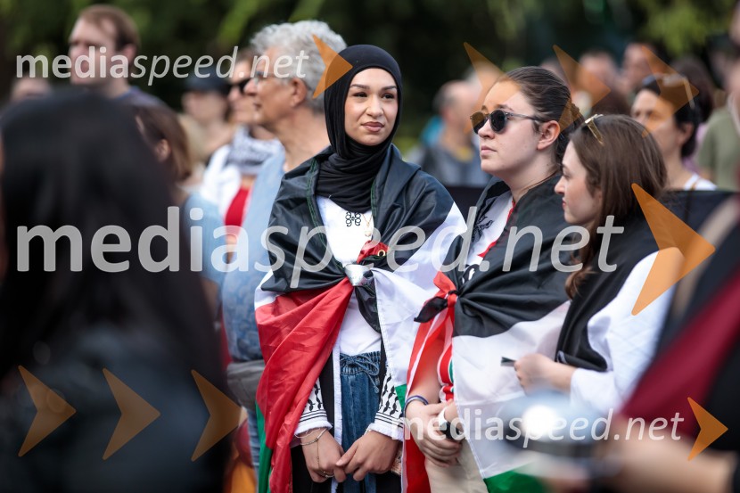 Protest civilne družbe Gaza strada, kaj dela vlada!?