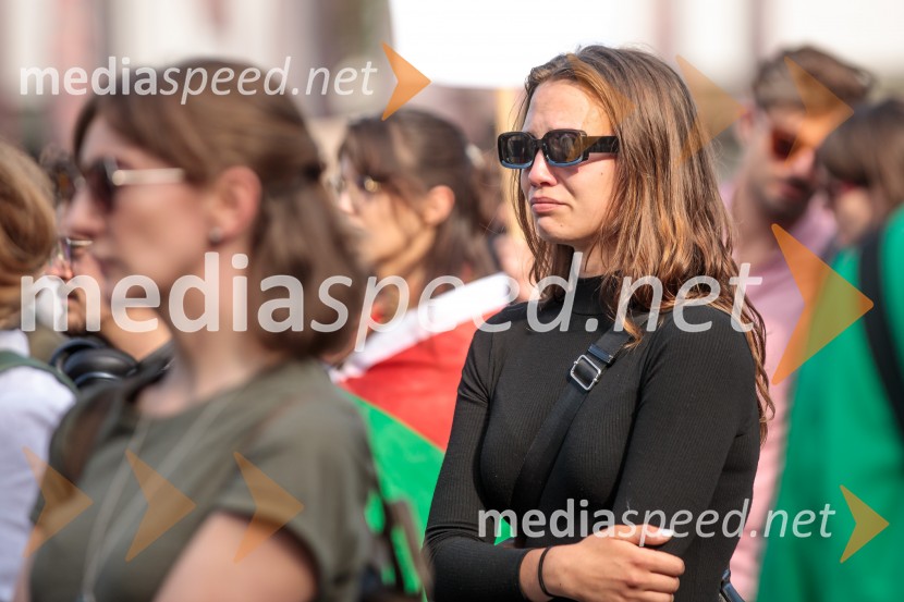 Protest civilne družbe Gaza strada, kaj dela vlada!?