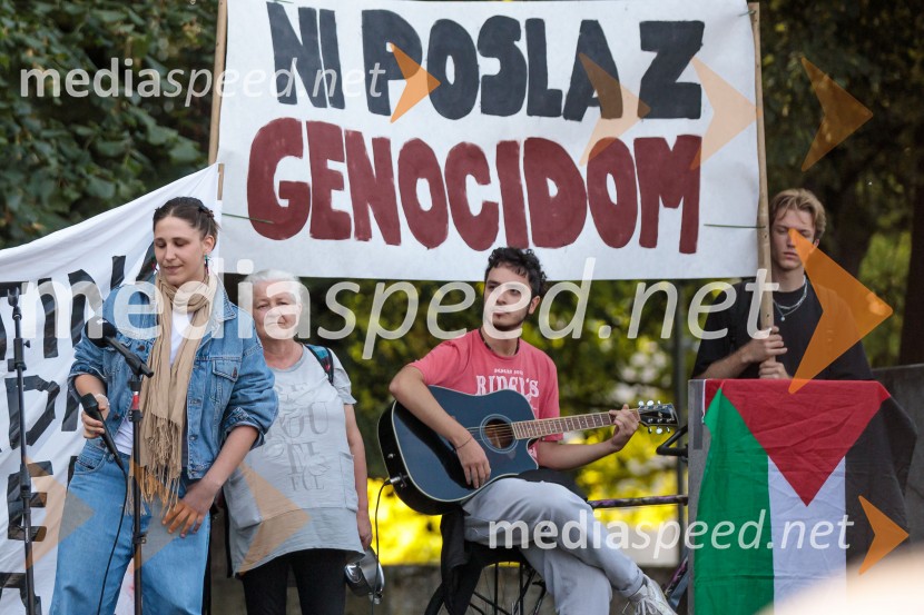 Protest civilne družbe Gaza strada, kaj dela vlada!?