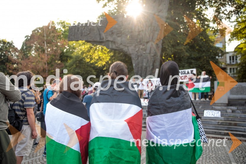 Protest civilne družbe Gaza strada, kaj dela vlada!?