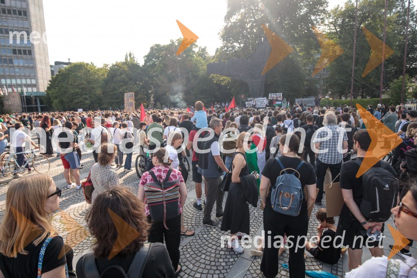 Protest civilne družbe Gaza strada, kaj dela vlada!?