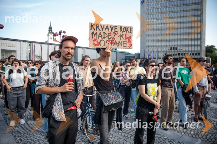 Protest civilne družbe Gaza strada, kaj dela vlada!?