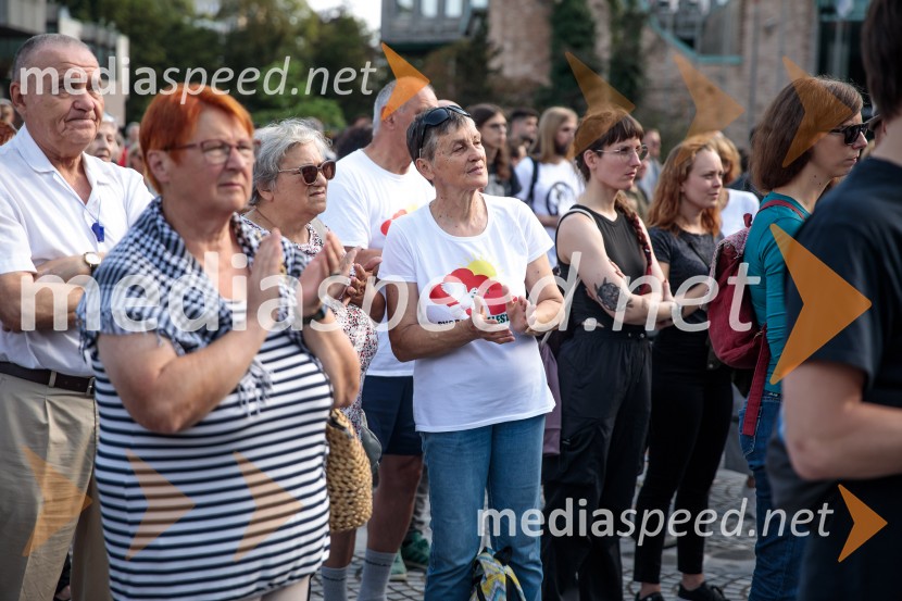 Protest civilne družbe Gaza strada, kaj dela vlada!?
