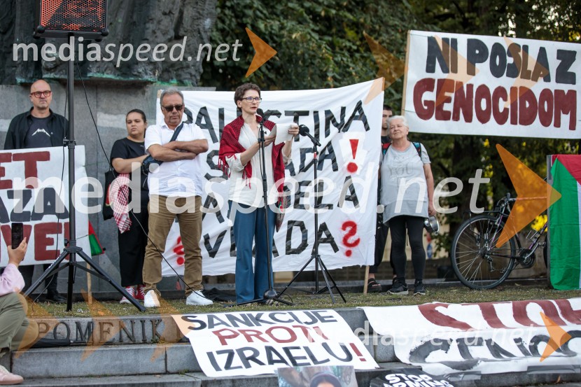 Protest civilne družbe Gaza strada, kaj dela vlada!?