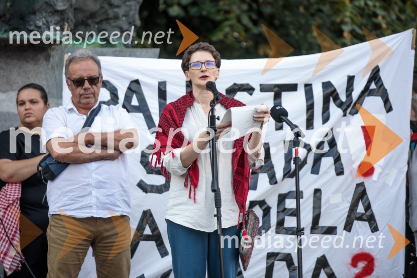 Protest civilne družbe Gaza strada, kaj dela vlada!?
