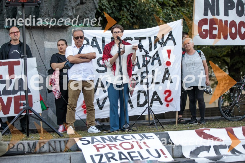 Protest civilne družbe Gaza strada, kaj dela vlada!?