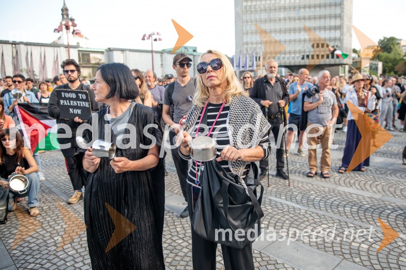 Protest civilne družbe Gaza strada, kaj dela vlada!?