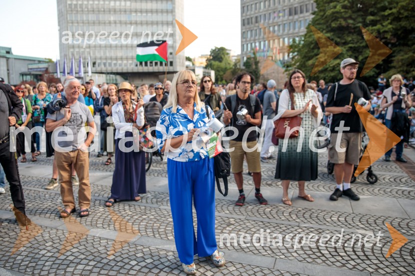 Protest civilne družbe Gaza strada, kaj dela vlada!?