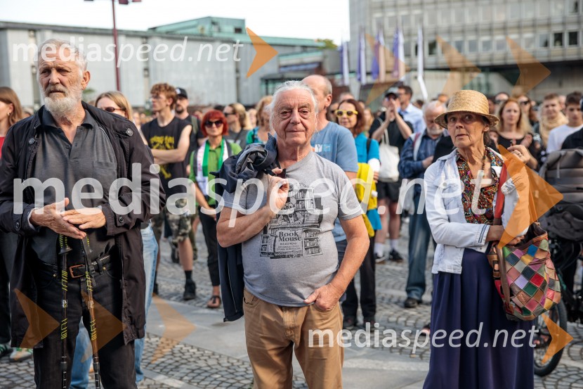 Protest civilne družbe Gaza strada, kaj dela vlada!?