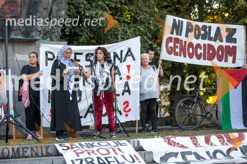 Protest civilne družbe Gaza strada, kaj dela vlada!?