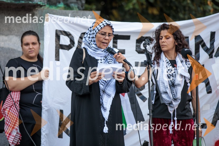 Protest civilne družbe Gaza strada, kaj dela vlada!?
