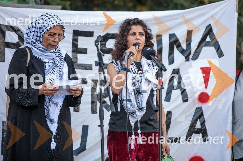 Protest civilne družbe Gaza strada, kaj dela vlada!?