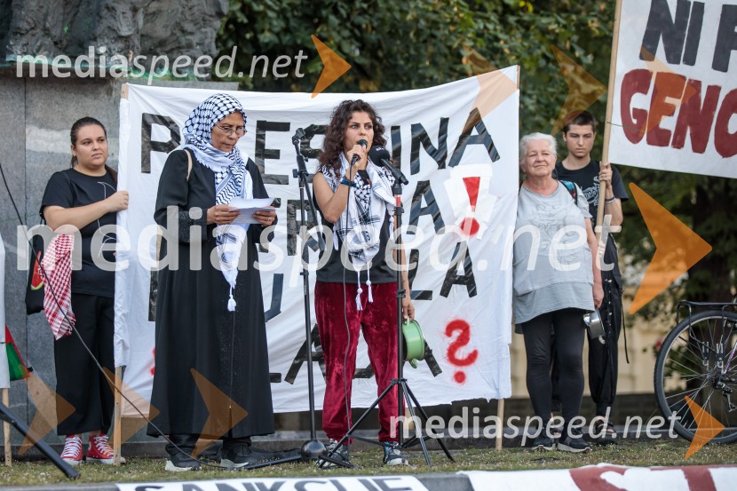 Protest civilne družbe Gaza strada, kaj dela vlada!?