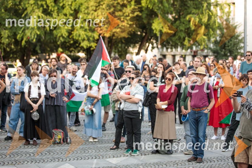 Protest civilne družbe Gaza strada, kaj dela vlada!?