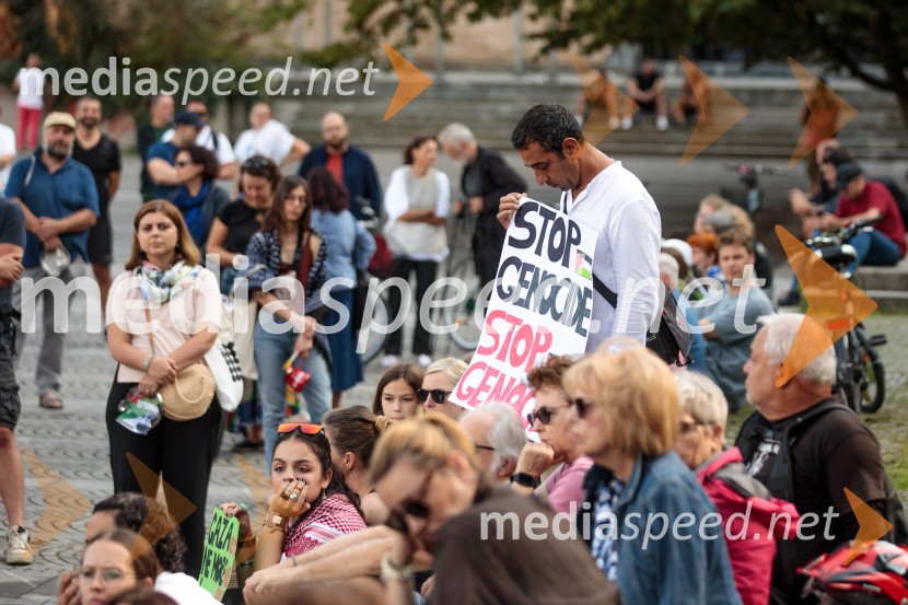 Protest civilne družbe Gaza strada, kaj dela vlada!?