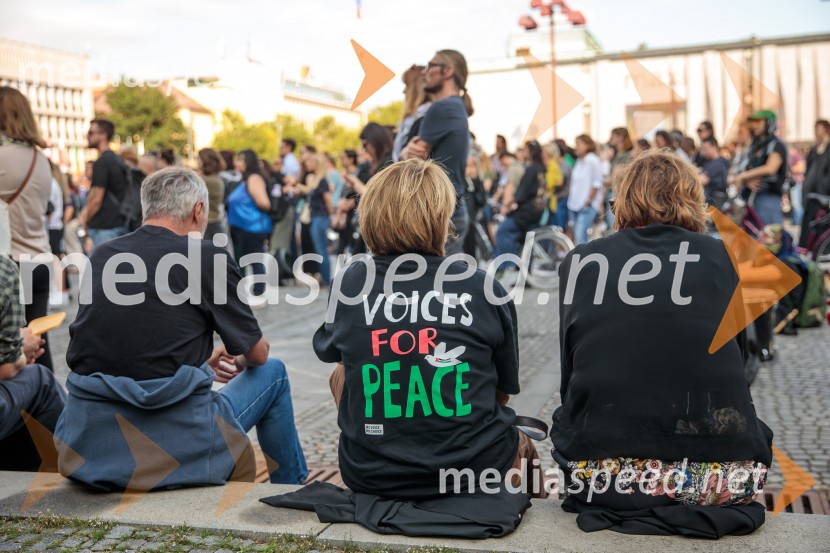 Protest civilne družbe Gaza strada, kaj dela vlada!?