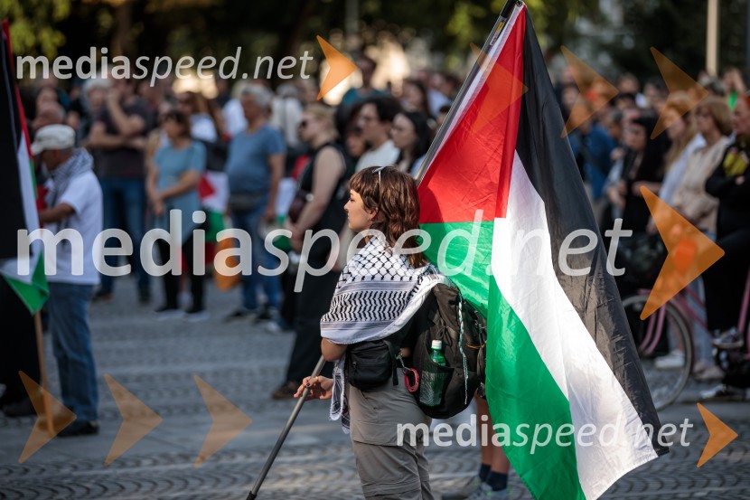 Protest civilne družbe Gaza strada, kaj dela vlada!?