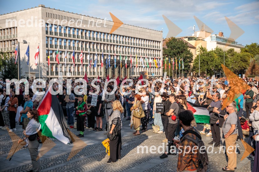 Protest civilne družbe Gaza strada, kaj dela vlada!?