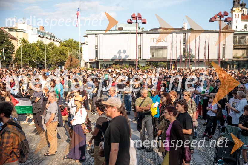 Protest civilne družbe Gaza strada, kaj dela vlada!?