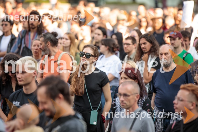 Protest civilne družbe Gaza strada, kaj dela vlada!?